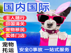 乌海航空运输国际宠物托运 【国